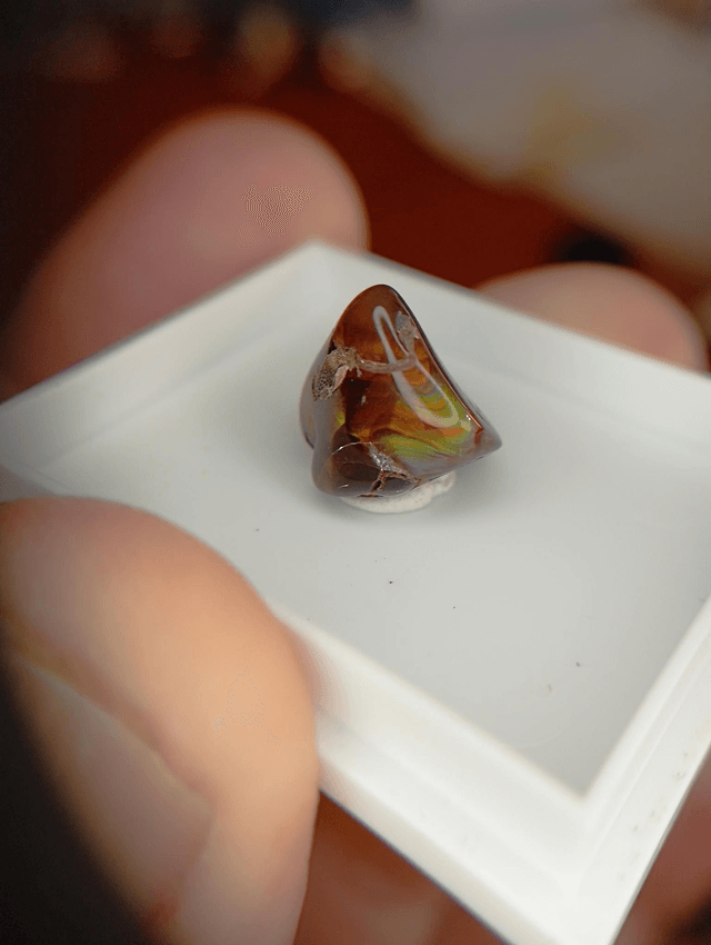 Agate feu 2