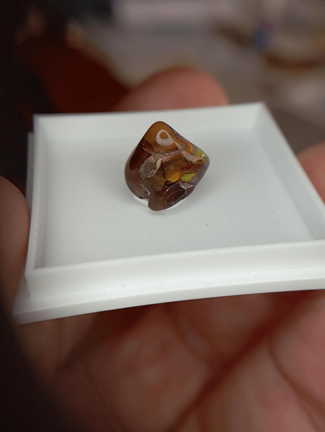 Agate feu 2